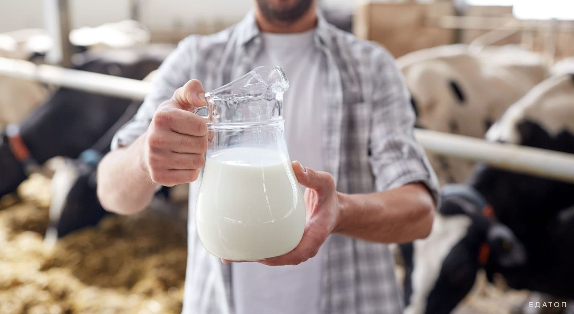 Договор купли-продажи молока образец
