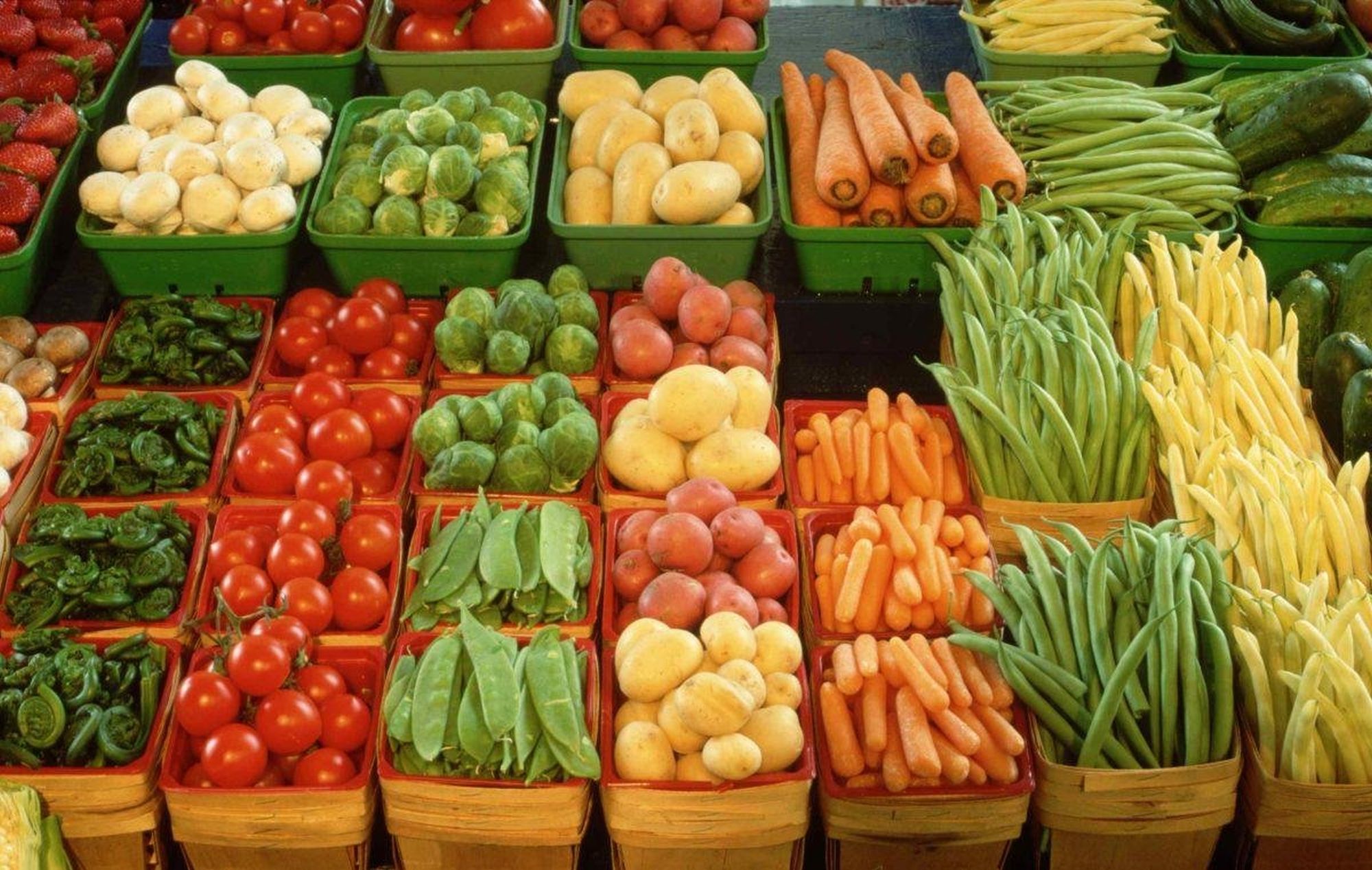 Договор купли-продажи овощей и фруктов образец