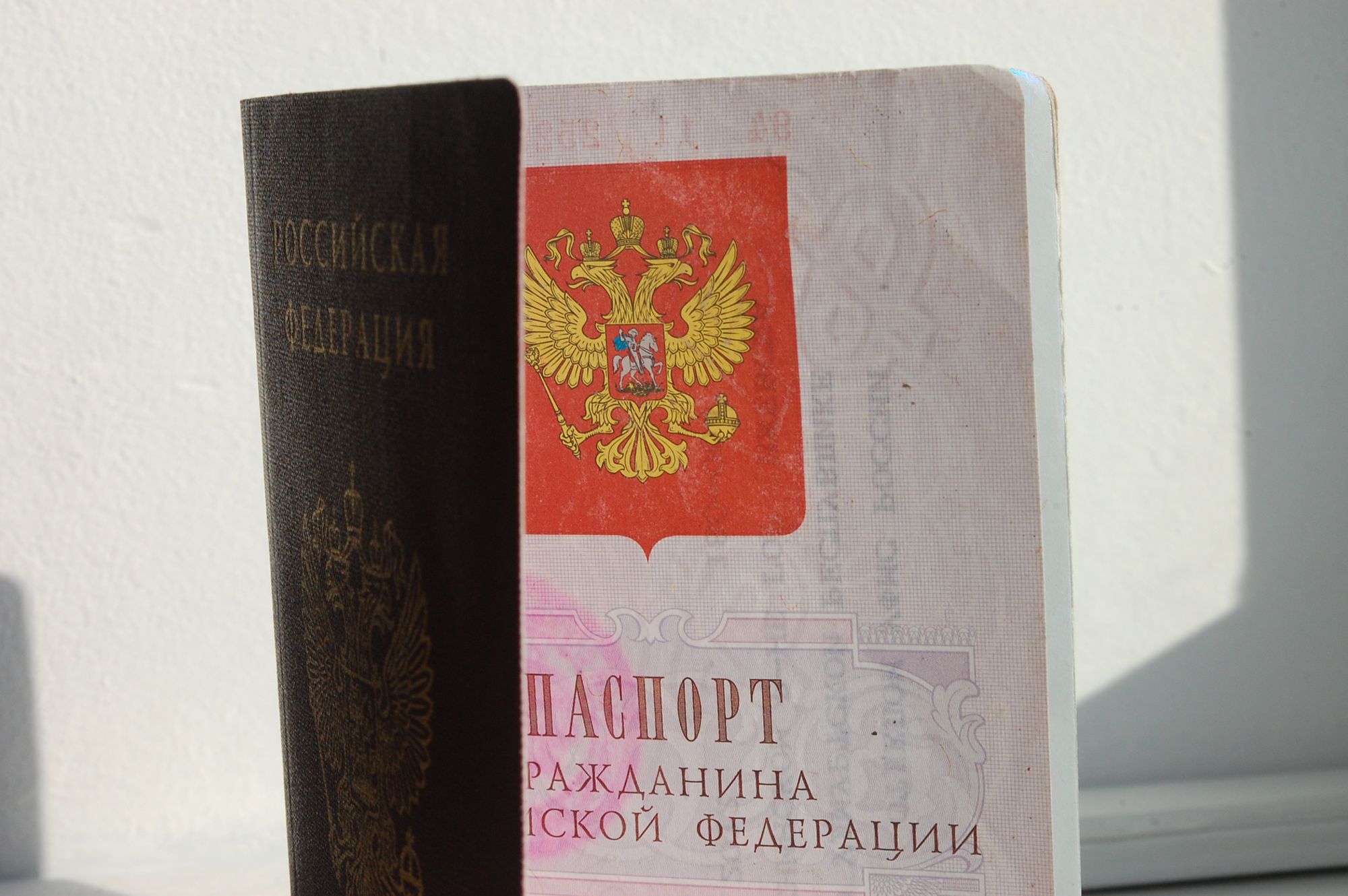 Незаконная выдача паспорта гражданина российской федерации