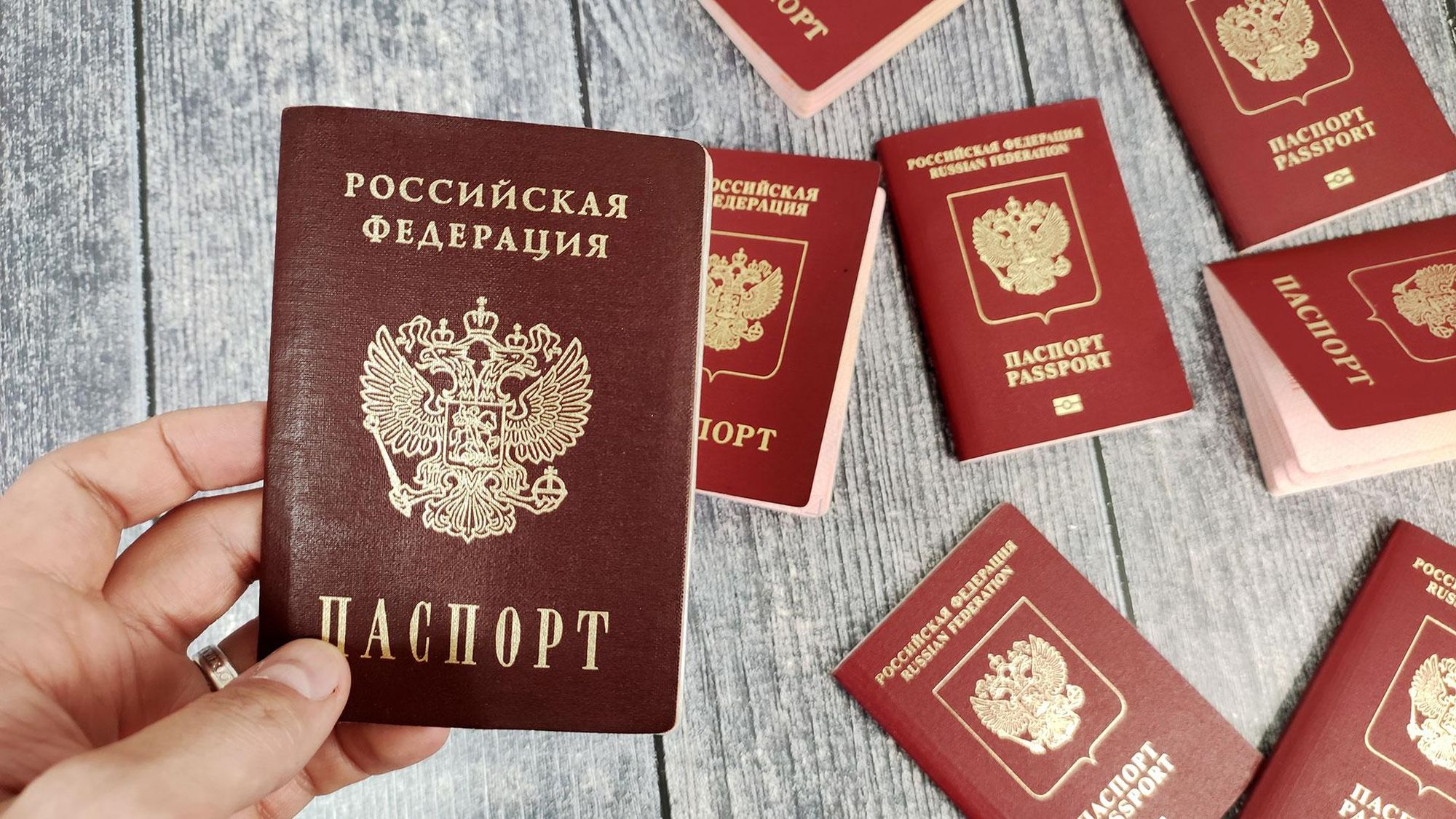 Оформление загранпаспорта нового образца в Москве, помощь в получении загранпаспорта в МИД через интернет