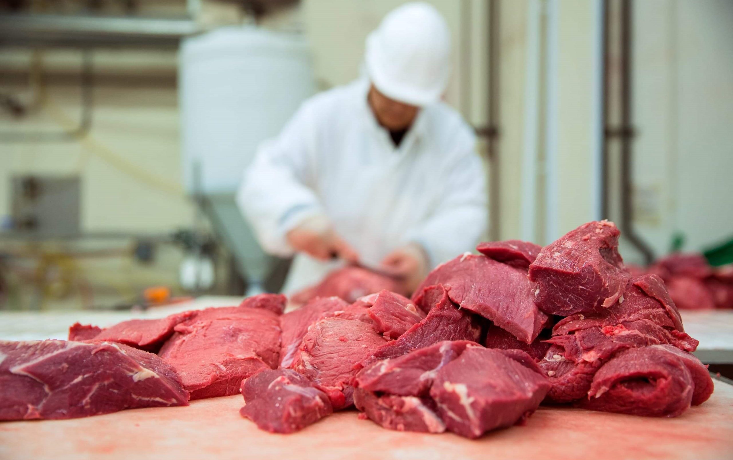 Санитарные правила для предприятий мясной промышленности — СП 3238 85, действующие