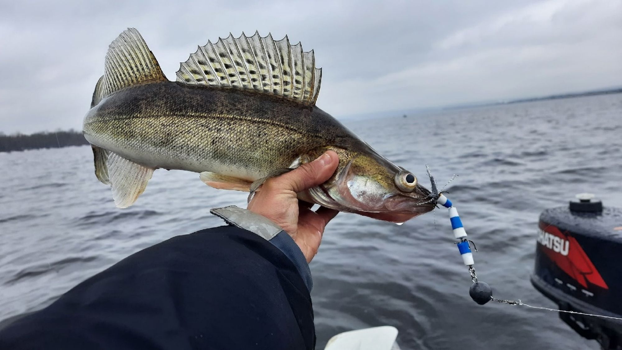 Весенний нерестовый запрет на рыбалку в Чите и Забайкальском крае — Статьи о рыбалке